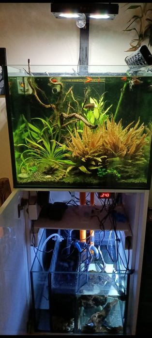 Vendo aquário e movel e sump