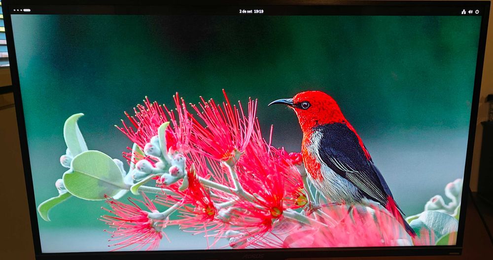 Monitor AORUS FV43U UHD 4K Quantum Dot 144Hz HDR