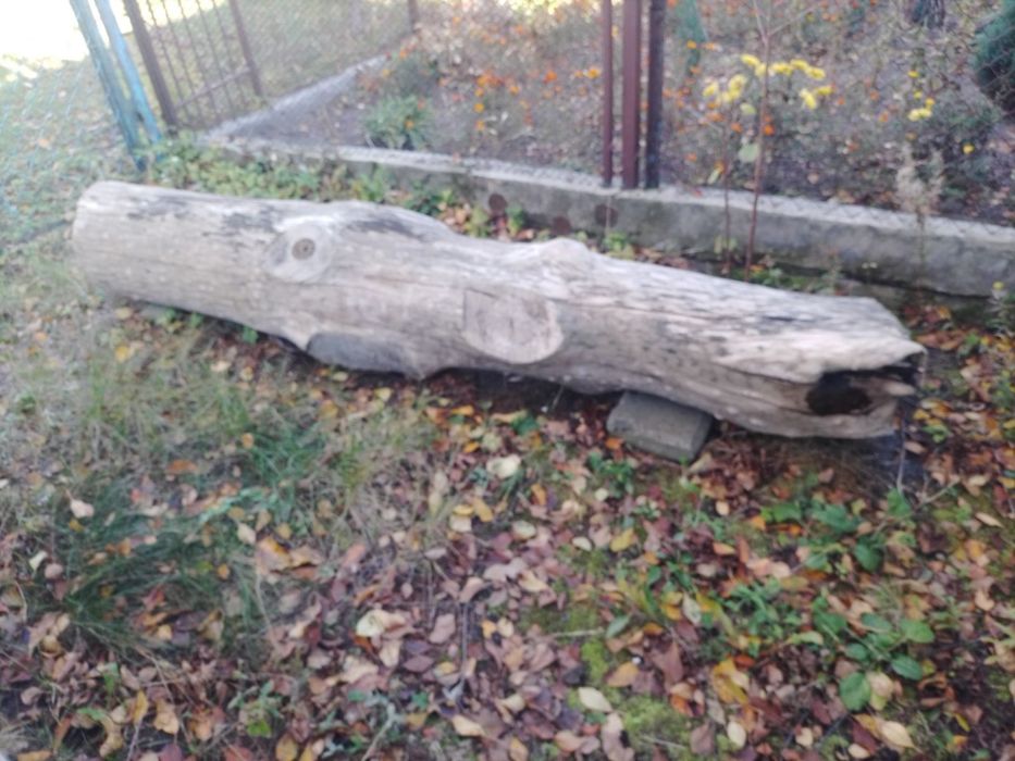 Деревина ясен (сухий)