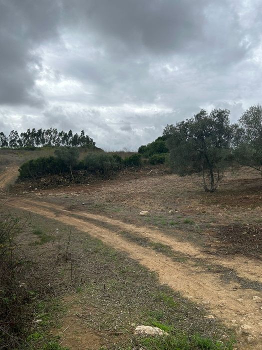 Quinta em Alenquer cabecos