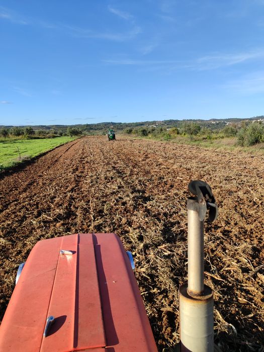 Faço todo o trabalho relacionado com palha