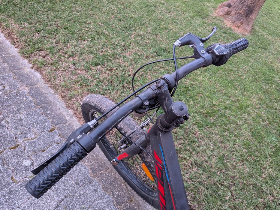 Bicicleta Aurelia Plus 24
