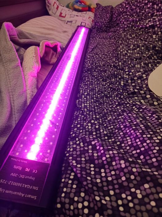 Lampada aquario plantados