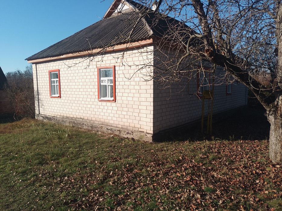 Будинок в селі Балаклея Черкаська область