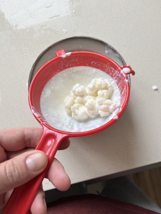 Kefir de leite.