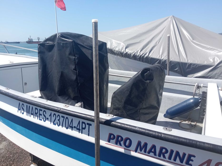 Barco Promarine 495