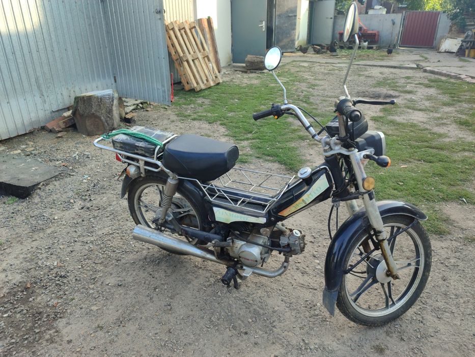 Шалбар киген мүшелер