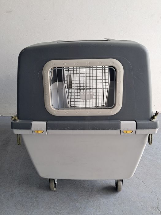 Transportadora Gulliver VI