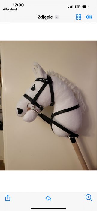 Hobby horse bialy