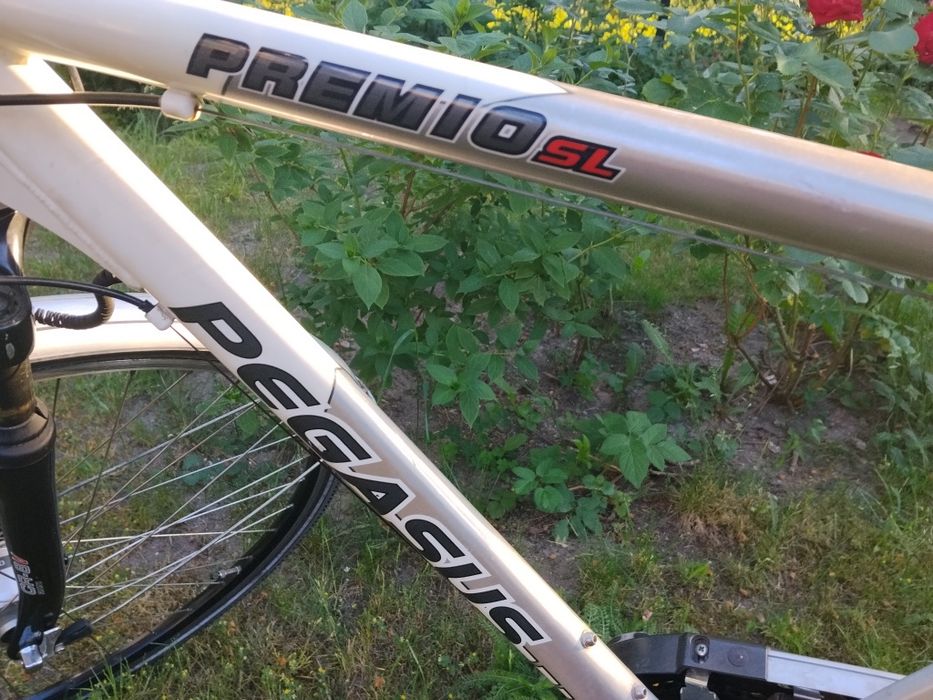 Rower PEGASUS Premio SL