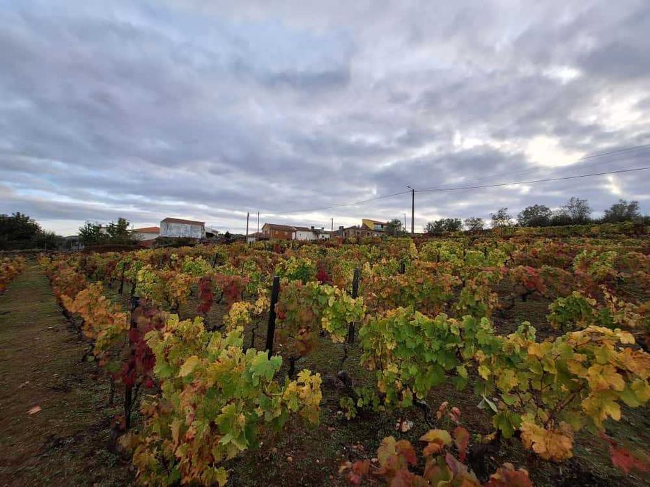 Terreno para construção