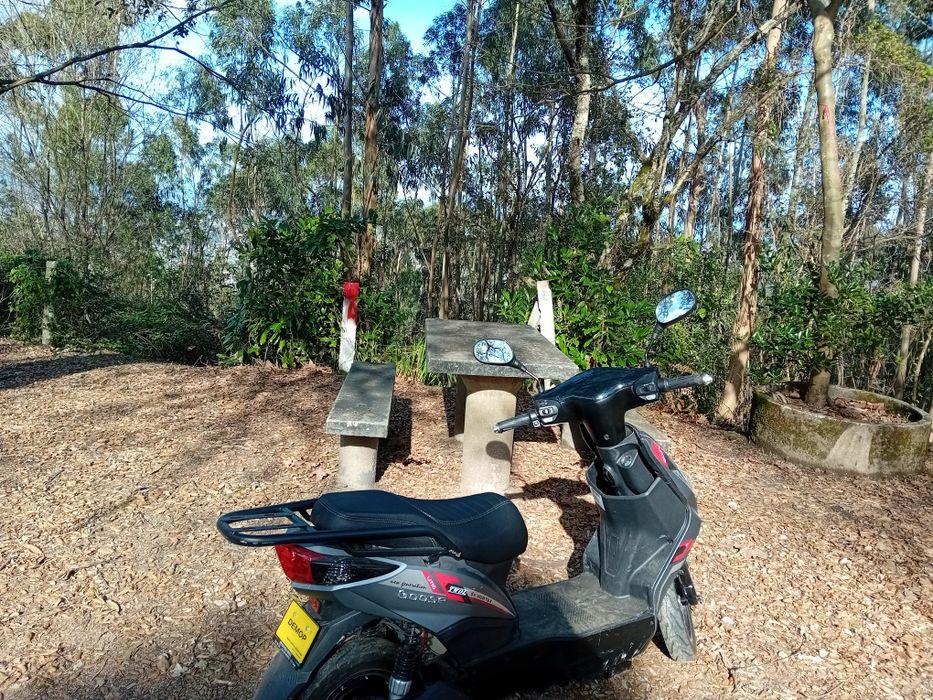 Mota com garantia !!