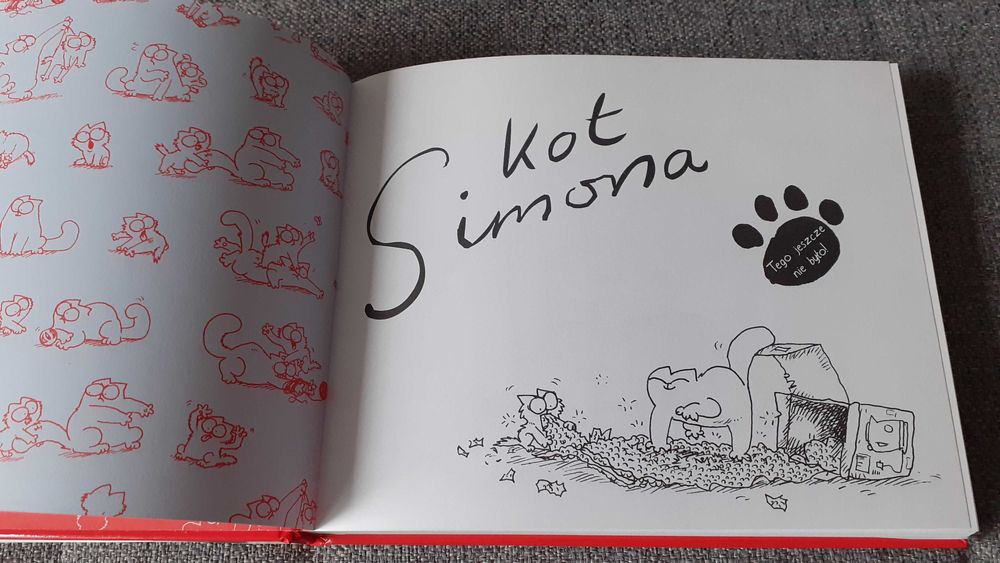 Książka Kot Simona i kociokwik