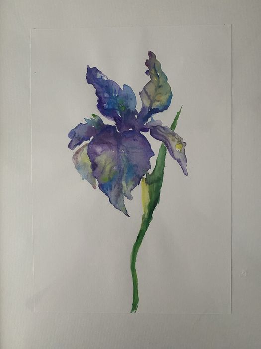 Kwiat akwarela rysunek obraz