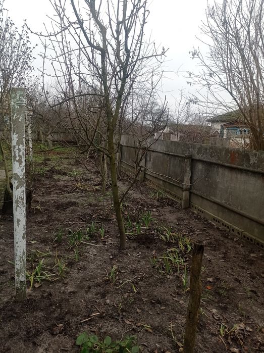 Доглянутий будинок в жилому стані недалеко від Чернігова. Село Виблі.