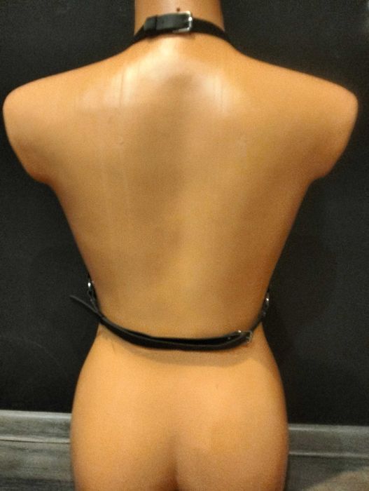 Harness uprząż gotycka