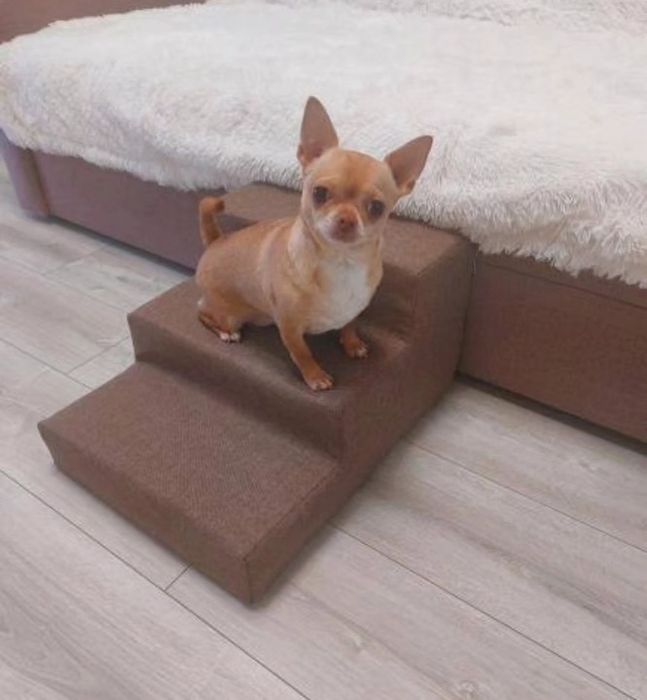 Міні сходинки для собак