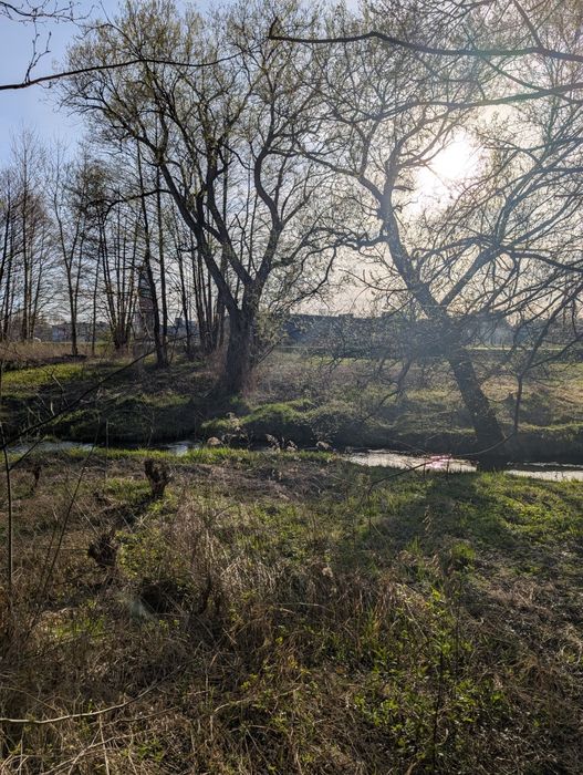 Działka na sprzedaż - Biłgoraj, ul. Armii Kraków, 2632 m², 599.000 PLN - Widok 2