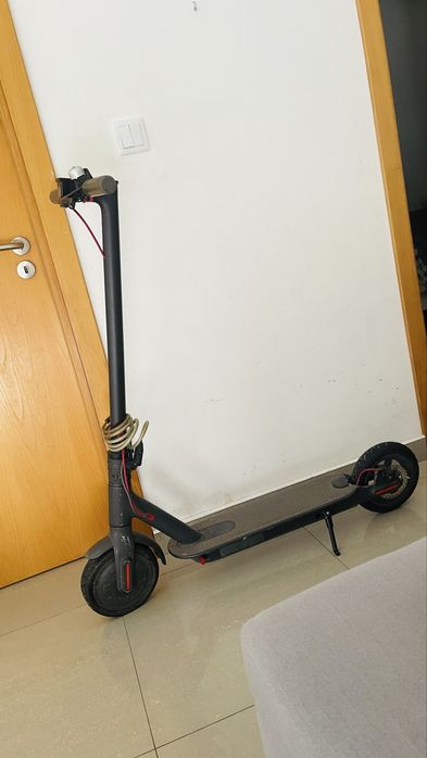 Trotinete bem estimada