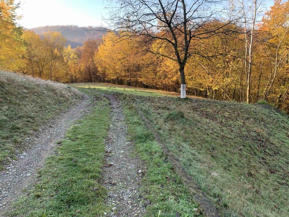 Продається земельна ділянка у мальовничому місці у лісі