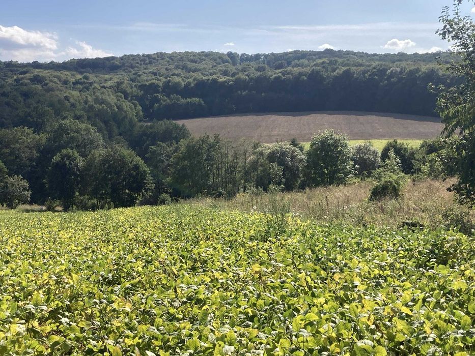 Atrakcyjna działka 58a /928 tyś, Biskupice - Widok 4