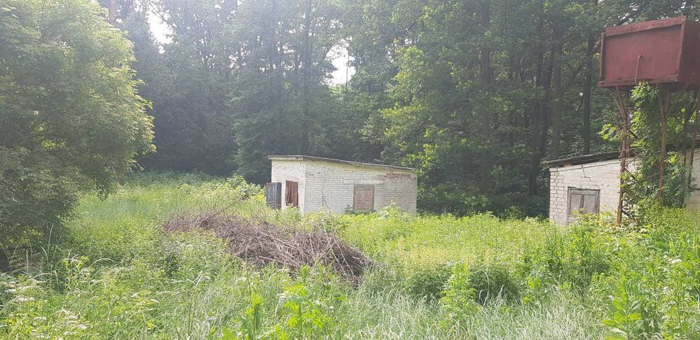 Продам будинок + парк 2 Га в Старому Мерчику | варіант для себе та бізнесу