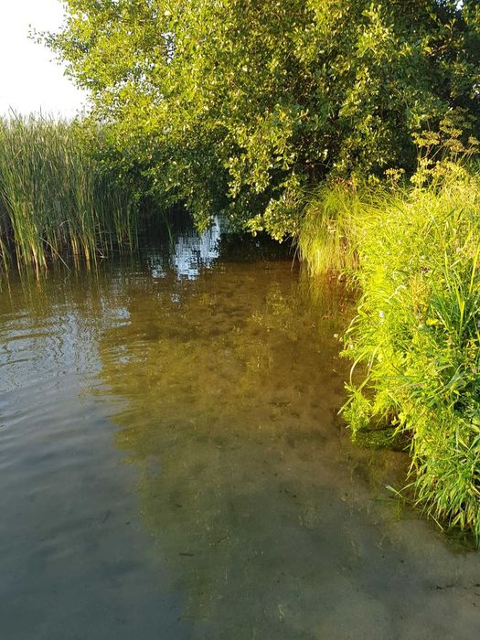 Działka nad Jeziorem Krąg. Najem