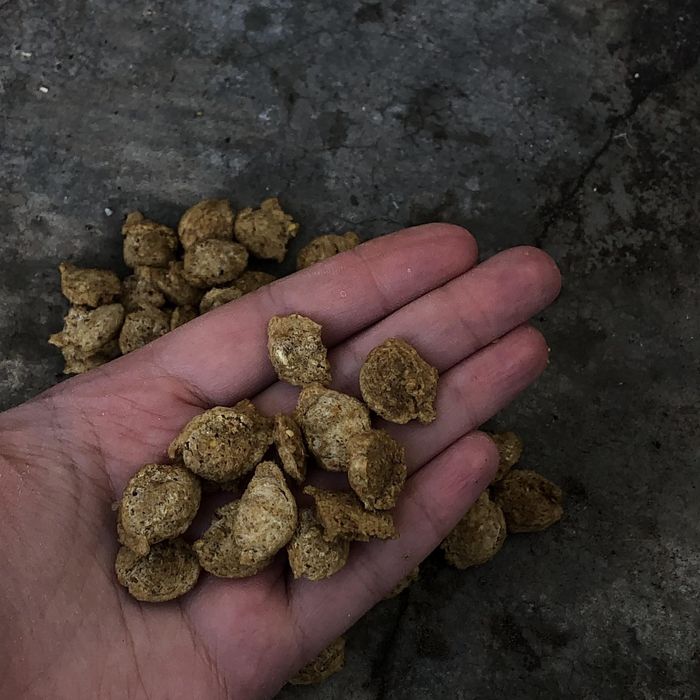 Корм для собак 20 кг производитель