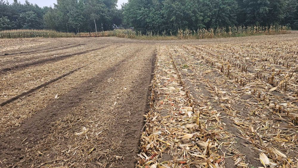 MULCZER młotkowy MASCHIO GASPARDO BUFALO z wałem i przesuwem bocznym