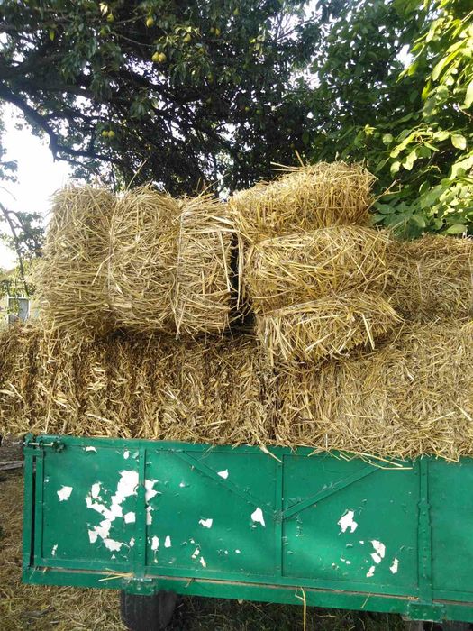 Продам тюки соломи