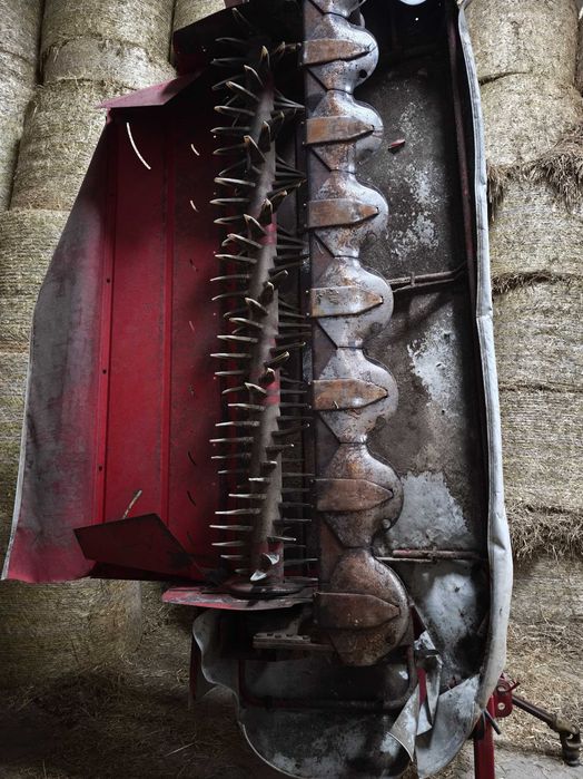 Kosiarki motyl lely splendimo