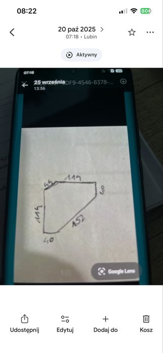 Akwarium 1200 l + ryby frontozy i calvus czarny