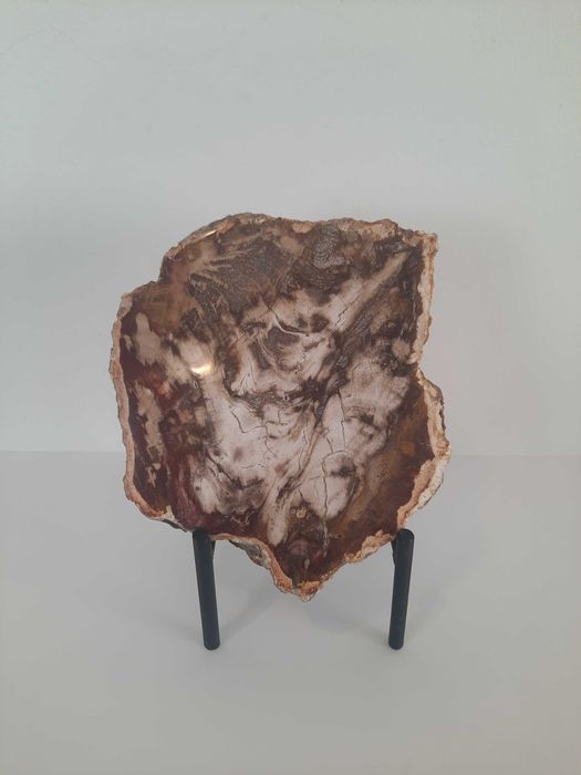 Peça decorativa de madeira petrificada.