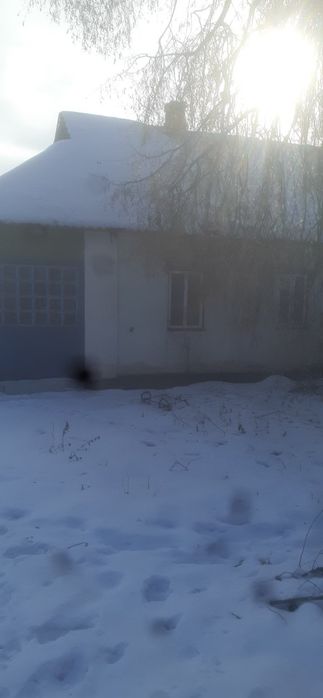 Продам будинок в с. Шевченкове