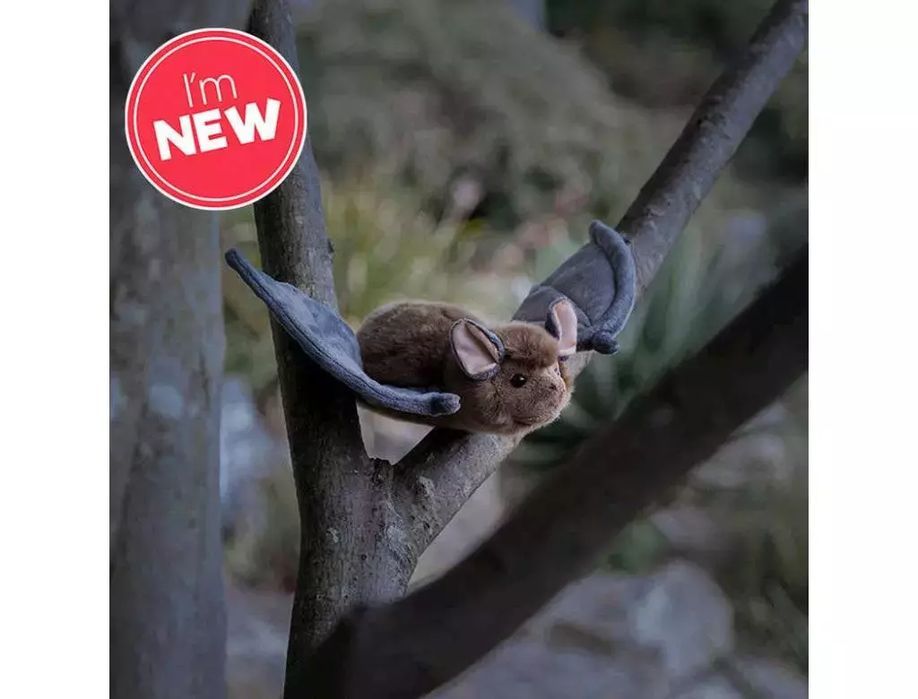 Nietoperz. One for Fun