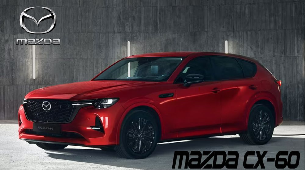 business-site-gallery-photo