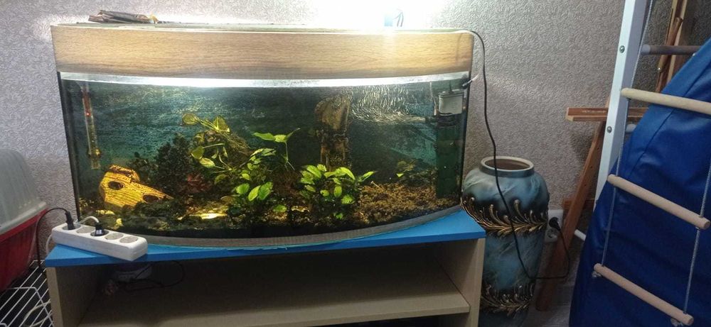 Акваріум 300 літрів • Панорамний • Повний комплект • Рослини + декор