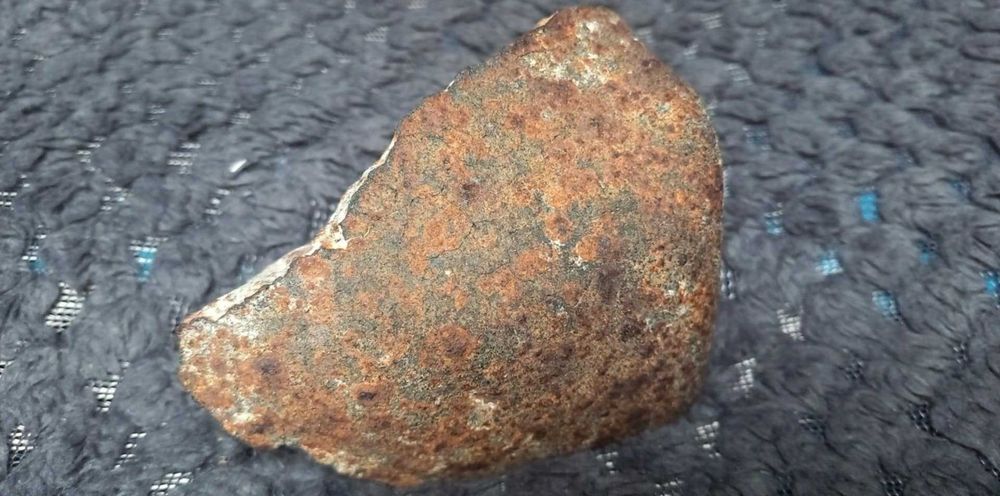 Duży METEORYT kamienny -  Chondryt L6 - NWA  z Algierii -  449,93g