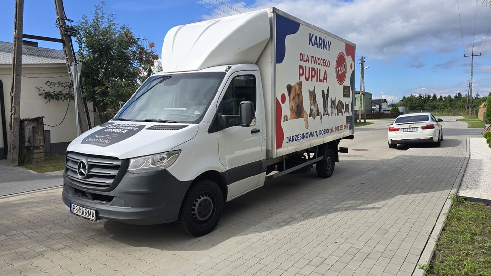 Karma zamówienie dla kota