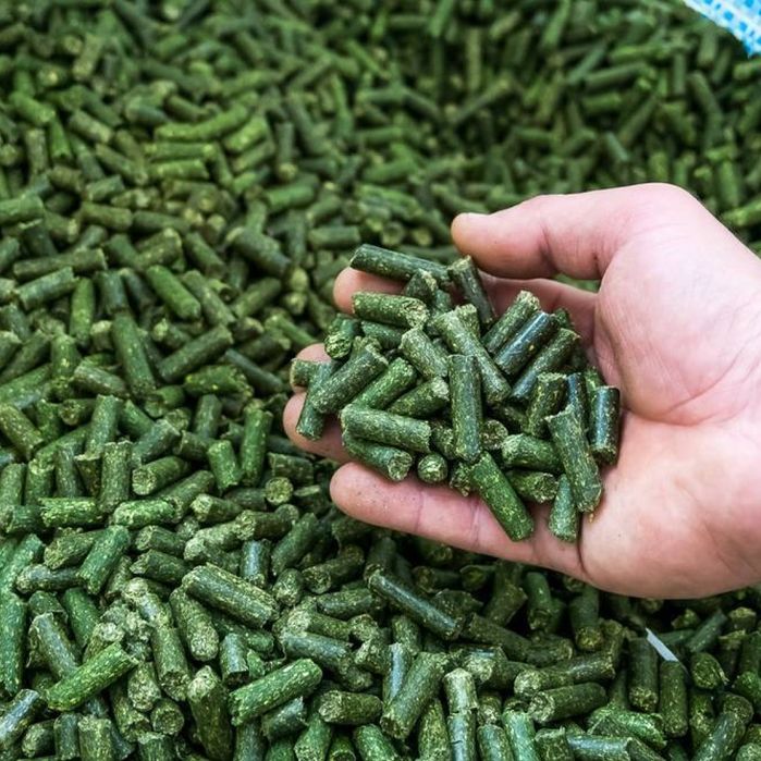 Продам гранульовану люцерну ,а також трав'яне борошно.