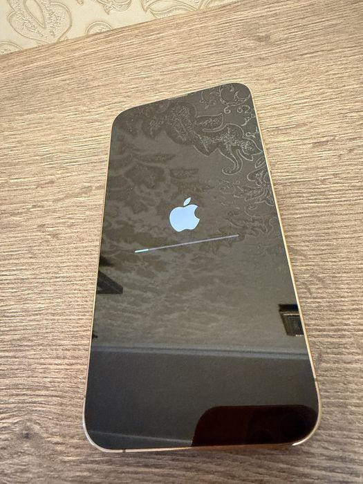 iPhone 13 pro max 256