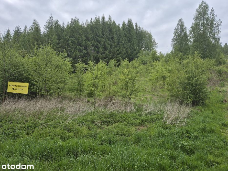 Działka budowlana 9021 m² w spokojnej okolicy
