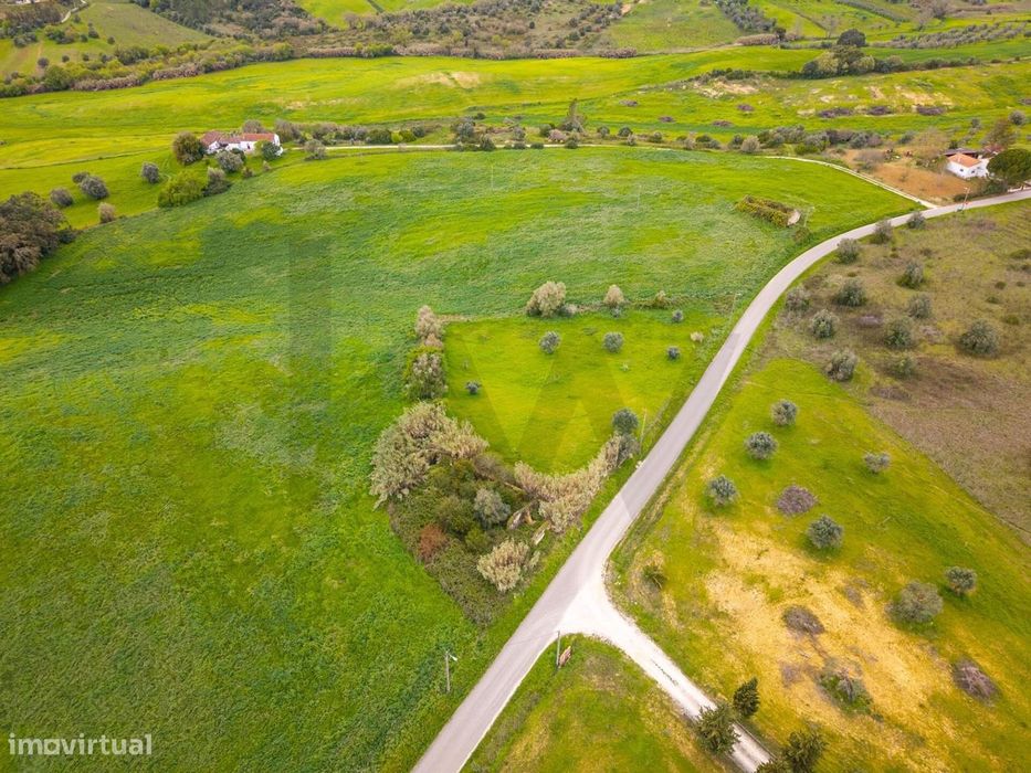 Terreno com 3240 m2, com Ruína, oportunidade única no Ribatejo