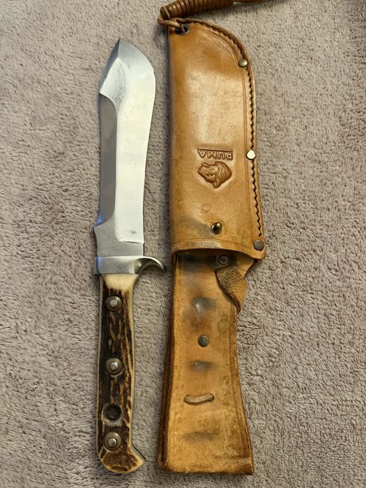 Nóż myśliwski Puma White Hunter oryginal Solingen jeleń