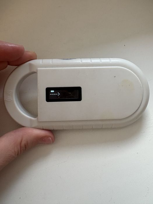 Czytnik czipów dla kota psa polecam