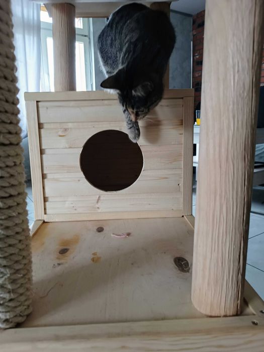 Domek-drapak dla kotów