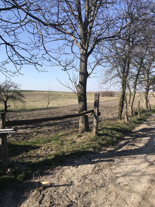 Продаж будинку с. Нагірці