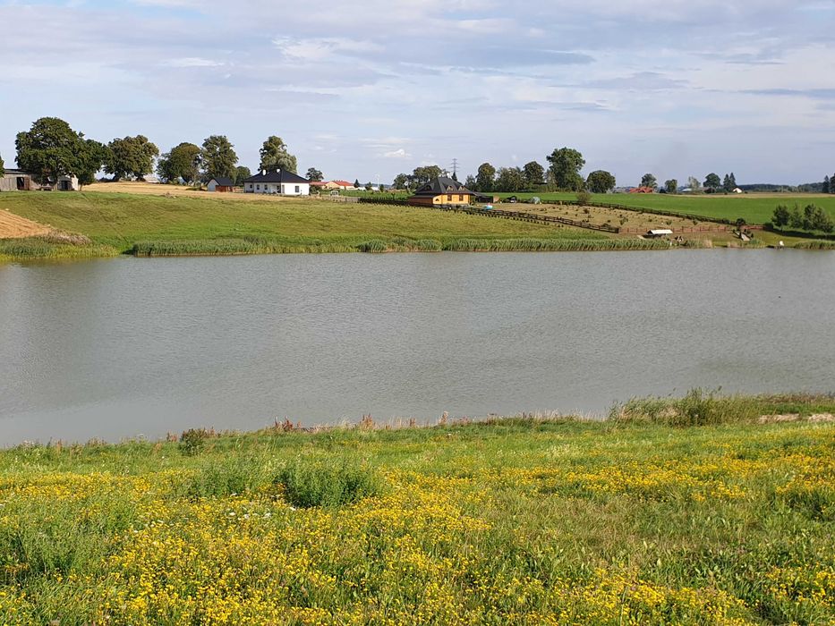 Działka z linią brzegową 6000 m2