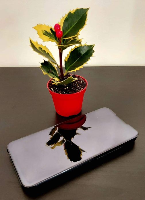 Capa tipo livro espelhada disponível para vários modelos de telemóvel64584476930049120