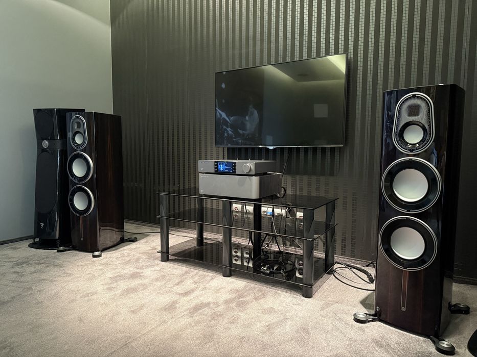 Monitor Audio PLATINUM PL300 3G kolor ebony cena za parę